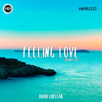 David Cuellar - Feeling Love