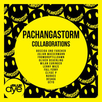 PachangaStorm - Collaborations