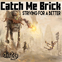 Catch Me Brick - Striving For A Better