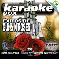Karaoke Box - Éxitos De Guns N'Roses (Karaoke Version) (Karaoke Version)