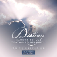 Markus Schulz featuring Delacey - Destiny
