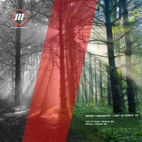 Sinisa Tamamovic - Lost In Forest EP