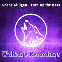 Shane Gilligan - Turn Up The Bass