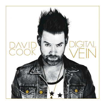 David Cook - Digital Vein