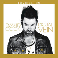 David Cook - Digital Vein (Deluxe Version)