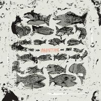Months - Months (Explicit)