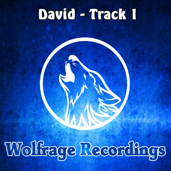 David - Track 1