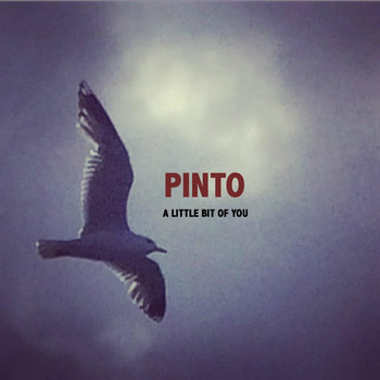 Pinto - A Little Bit of You