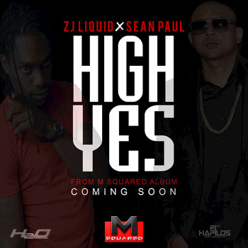 Sean Paul - High Yes (feat. Zj Liquid) - Single