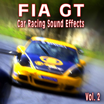 The Hollywood Edge Sound Effects Library - Fia Gt Car Racing Sound Effects, Vol. 2