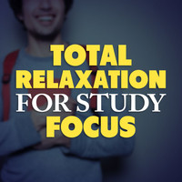 Calm Music for Studying|Classical Study Music|Relaxation Study Music - Total Relaxation for Study Focus