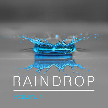 Various Artists - Raindrop, Vol. 4