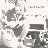 David James - In the Grey