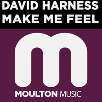 David Harness - Make Me Feel