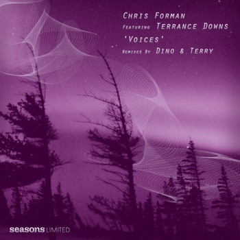Chris Forman - Voices (feat. Terrance Downs)