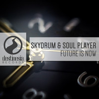 Skydrum & Soul Player - Future Is Now