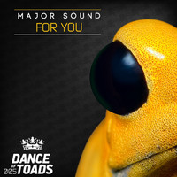 Major Sound - For You