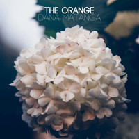 The Orange - Dana Matanga - Single