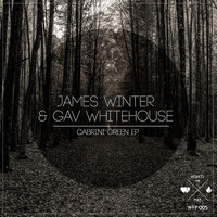 James Winter & Gav Whitehouse - Cabrini Green EP