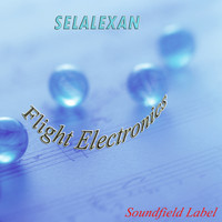 Selalexan - Flight Electronics