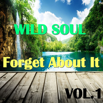 Various Artists - Wild Soul: Forget About It, Vol.1