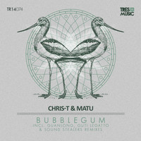 Chris-T & Matu - BubbleGum