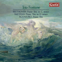 Trio Fontane - Beethoven: Piano Trio, Op.1 - Smetana: Piano Trio, Op. 15 - Schaeuble: Piano Trio, Op. 45