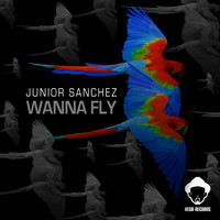 Junior Sanchez - Wanna Fly