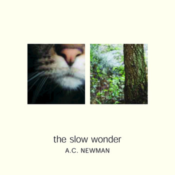 A.C. Newman - The Slow Wonder