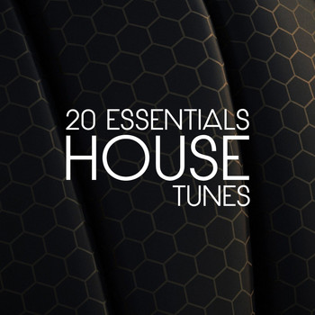 Various Artists - 20 Essential House Tunes