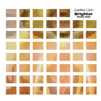 Jupiter Lion - Brighter Remixes
