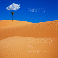 Chris Coco & Afterlife - Endless