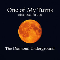 The Diamond Underground - One of My Turns