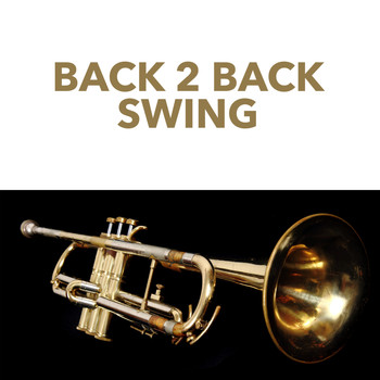 Louis Armstrong, Glen Gray And His Casa Loma Orchestra, Wilbur De Paris and Pearl Bailey - Back 2 Back Swing