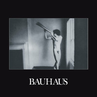 Bauhaus - In the Flat Field (Explicit)