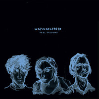 Unwound - Peel Sessions