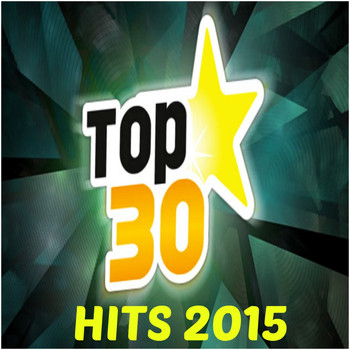 Various Artists - Top 30 Hits 2015