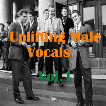 Various Artists - Uplifting Male Vocals, Vol.1