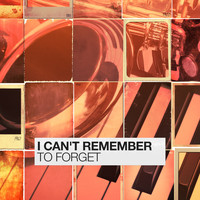 Various Artists - I Can't Remember To Forget