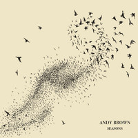 Andy Brown - Seasons