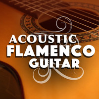 The Acoustic Guitar Troubadours|Guitare Flamenco|Guitarra Acústica y Guitarra Española - Acoustic Flamenco Guitar