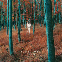 Sunflower Bean - I Hear Voices / The Stalker