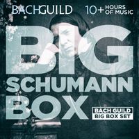 Various Artists  - Big Schumann Box