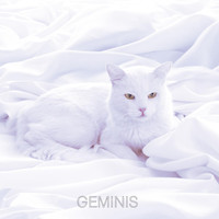 Geminis - Geminis