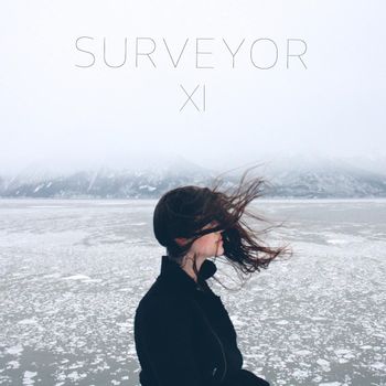 Surveyor - XI
