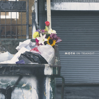 Moth - In Transit