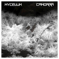 Mycelium - Camorra - Single