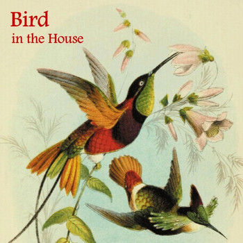 Paul Alan Hertel - Bird in the House