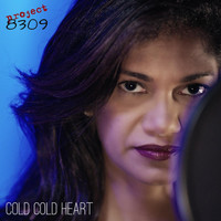 Project 8309 - Cold Cold Heart