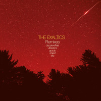 The Exaltics - The Truth Remixes